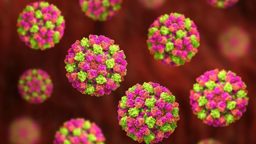 Kış kapıda, tehlike sessizce yayılıyor: Norovirüs vakalarında çarpıcı artış!