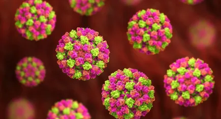 Kış kapıda, tehlike sessizce yayılıyor: Norovirüs vakalarında çarpıcı artış!