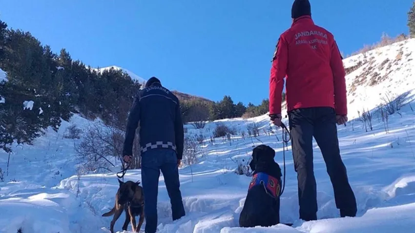 Palandöken çığ faciası davası :İlk duruşmada şüpheli yöneticiden sorumluluk reddi haberinin görseli