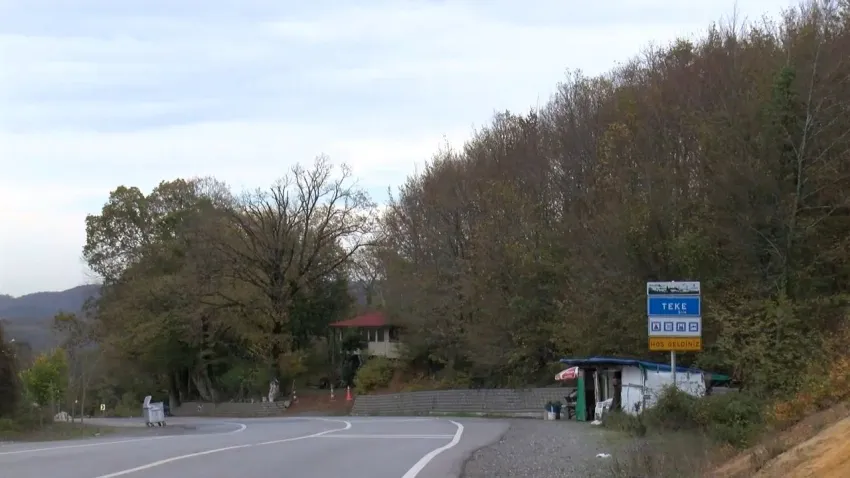 21 mahallede 'şap' karantinası! haberinin görseli