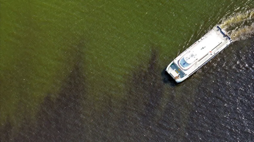 Körfez’de kısa vadeli çözüm yok, kötü koku devam edecek