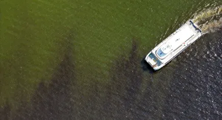 Körfez’de kısa vadeli çözüm yok, kötü koku devam edecek