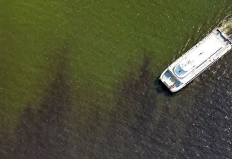 Körfez’de kısa vadeli çözüm yok, kötü koku devam edecek