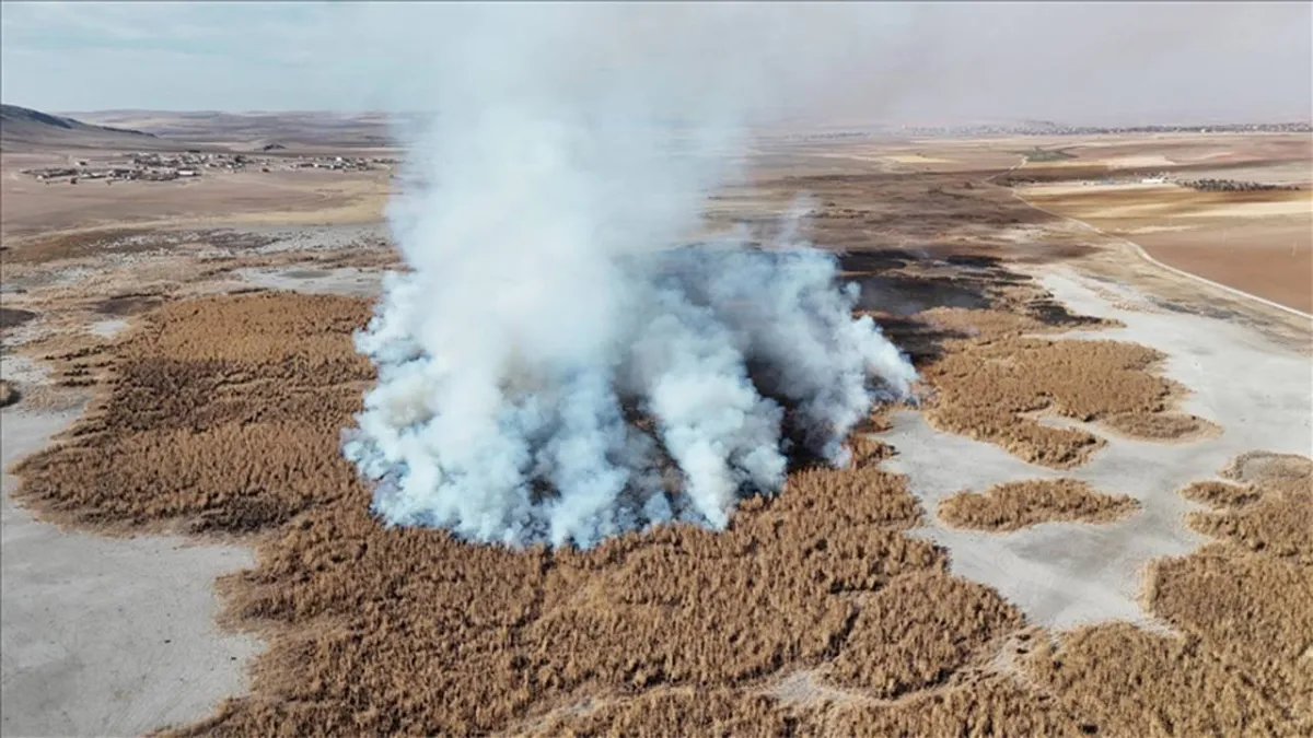 Kuruyan Gökgöl’de çevre felaketi: Sazlıklar 2 gündür yanıyor haberinin görseli