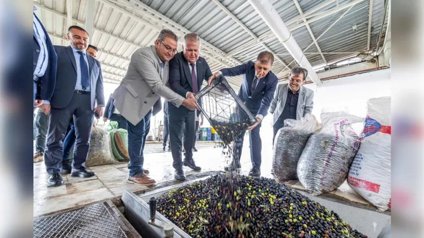 Urla Zeytin Festivali için gün sayıyor