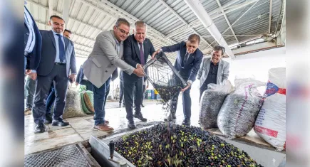 Urla Zeytin Festivali için gün sayıyor