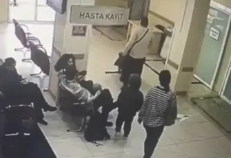 Böcek ailesinin ölümü ile ilgili rapor çıktı: Sonuçlar şaşırttı