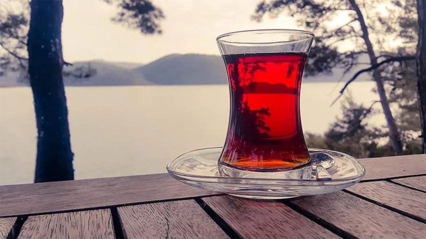 Çayın yanında verilen limondan 10 lira alan işletmeye ceza kesildi haberinin görseli