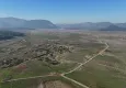 İzmir’de park ve bahçelerde su kullanımı orta ölçekli baraj hacmiyle eşdeğer