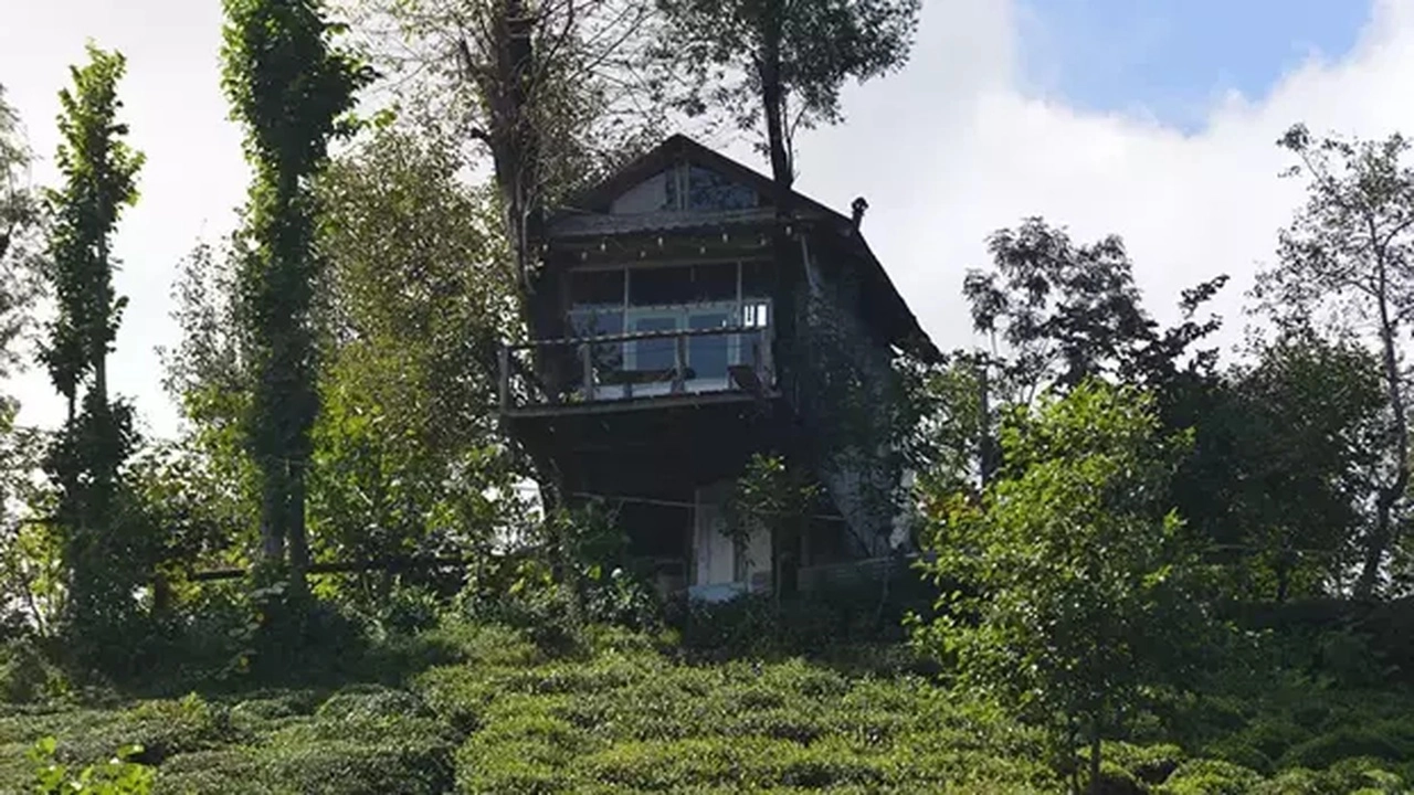 Rize’de Kardeşlerin Geri Dönüştürülmüş Malzemelerle İnşa Ettiği Ağaç Ev İlgi Çekiyor başlıklı video haberin görseli