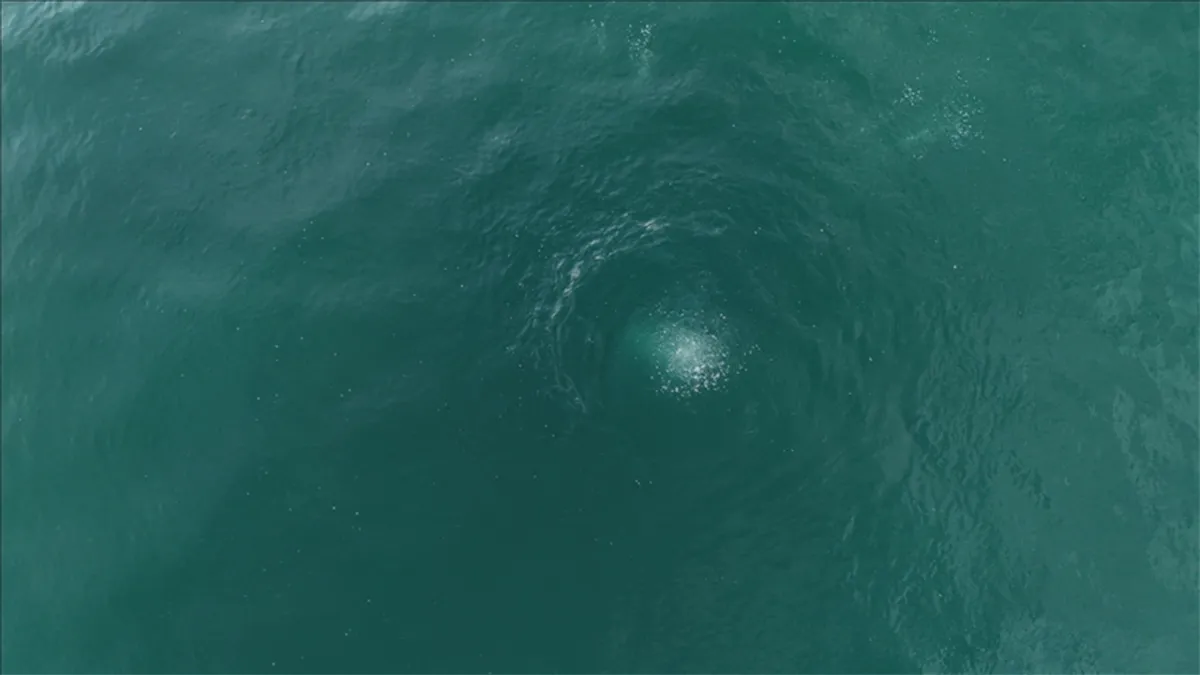 Sapanca Gölü'nde gizemli kabarcıklar görüntülendi: Depremin habercisi mi?  haberinin görseli