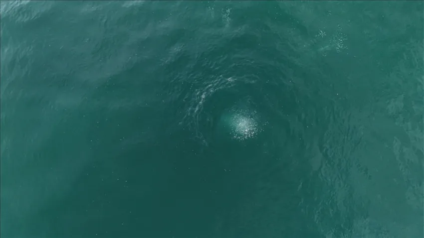 Sapanca Gölü'nde gizemli kabarcıklar görüntülendi: Depremin habercisi mi? 