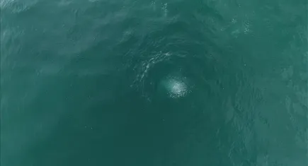 Sapanca Gölü'nde gizemli kabarcıklar görüntülendi: Depremin habercisi mi? 