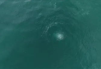 Sapanca Gölü'nde gizemli kabarcıklar görüntülendi: Depremin habercisi mi? 