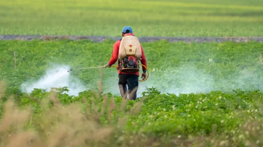 Tarım ilaçlarında yeni dönem: Reçete zorunluluğu geliyor haberinin görseli