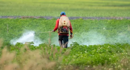 Tarım ilaçlarında yeni dönem: Reçete zorunluluğu geliyor