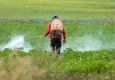 Tarım ilaçlarında yeni dönem: Reçete zorunluluğu geliyor