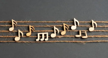 125 bin kişilik dev araştırma: Müzik zevki siyasi tercihleri ele veriyor mu?