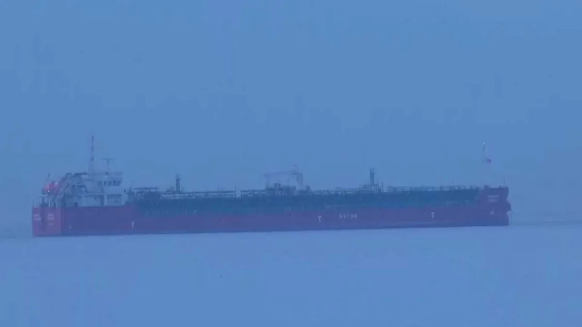 Demokrasi ve Özgürlükler Adası açıklarında dehşet: Kimyasal sızıntı can aldı haberinin görseli