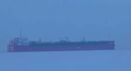 Demokrasi ve Özgürlükler Adası açıklarında dehşet: Kimyasal sızıntı can aldı