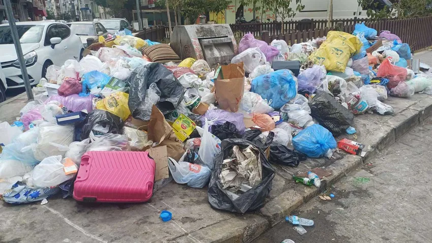 Karasinek popülasyonunu sıcaklık ve çöp artışı etkiliyor