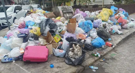 Karasinek popülasyonunu sıcaklık ve çöp artışı etkiliyor