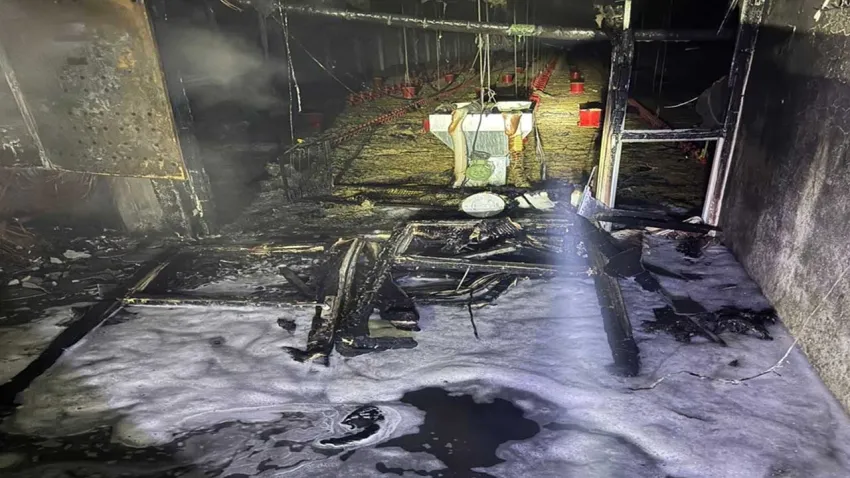 Tavuk çiftliğinde yangın felaketi: 5 bin civciv can verdi haberinin görseli