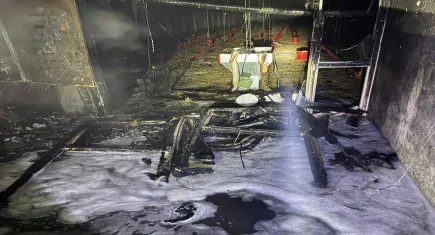 Tavuk çiftliğinde yangın felaketi: 5 bin civciv can verdi