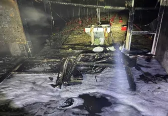 Tavuk çiftliğinde yangın felaketi: 5 bin civciv can verdi