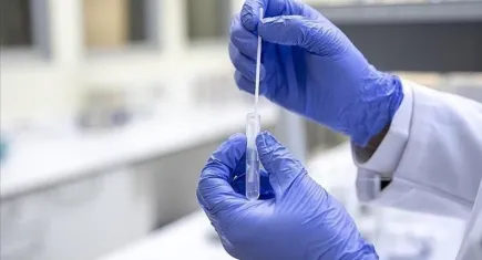 Dünyada H5N5 kuş gribinden kaynaklı ilk ölüm