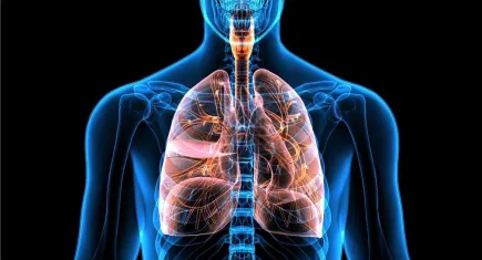 KOAH’nın en önemli nedeni; sigara ve pasif içicilik!