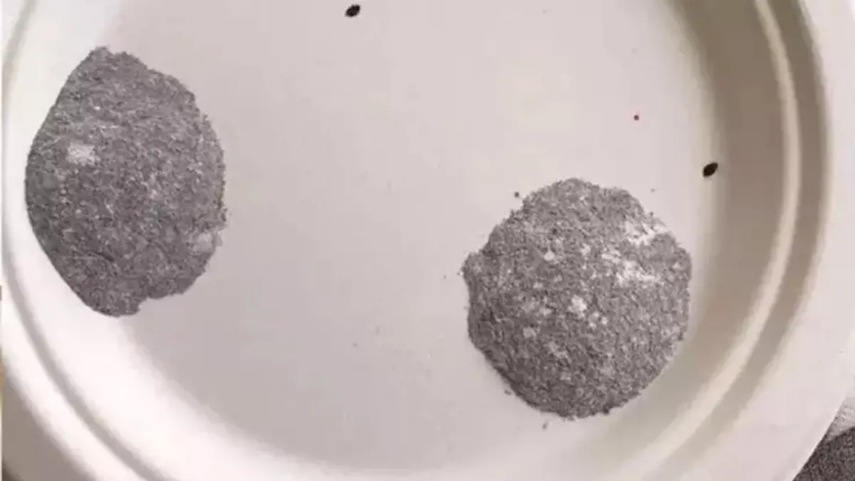 Böcek ailesinin ölümüne neden olan zehir, geçen yıl Alman öğrencinin ölümüne neden olmuş haberinin görseli