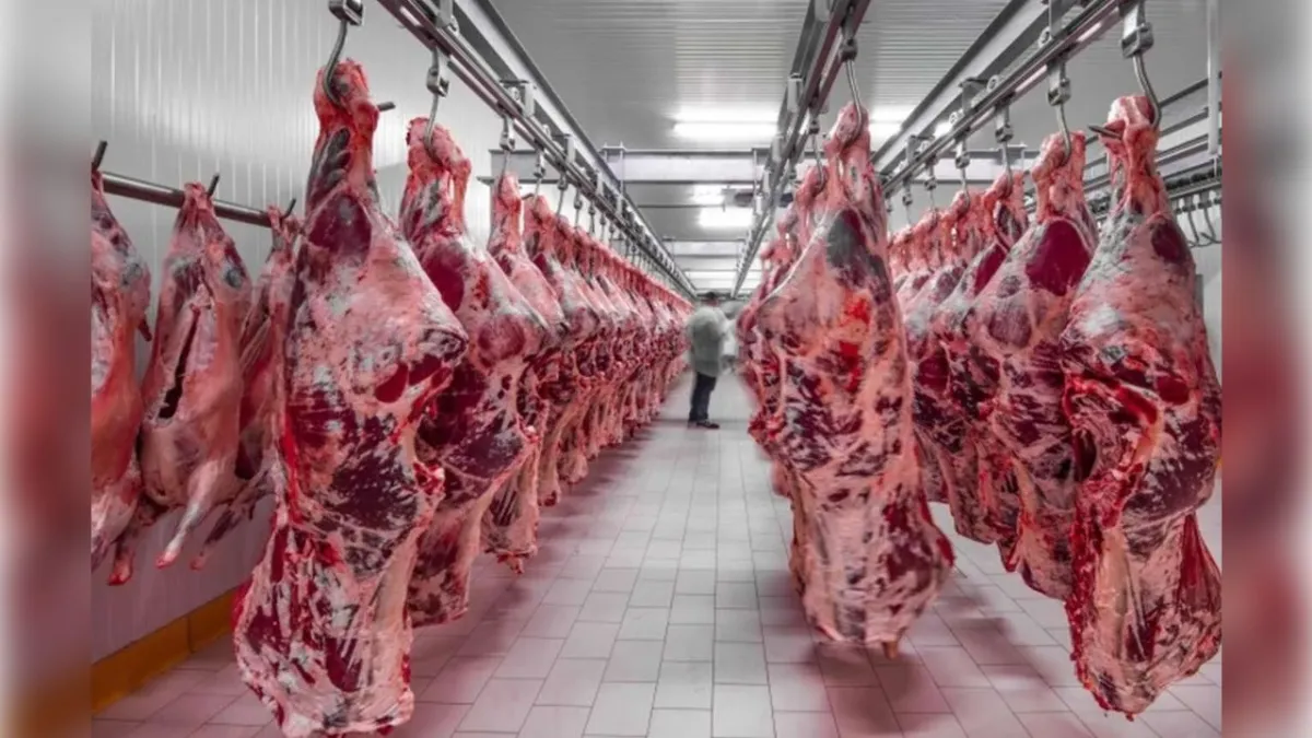 Kırmızı ette fiyat artışı hızlandı haberinin görseli