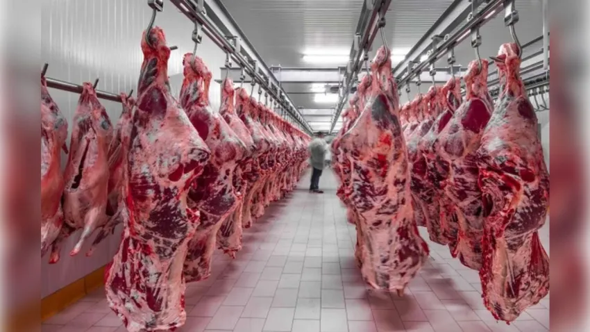 Kırmızı ette fiyat artışı hızlandı haberinin görseli