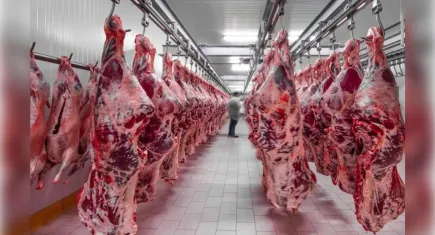 Kırmızı ette fiyat artışı hızlandı