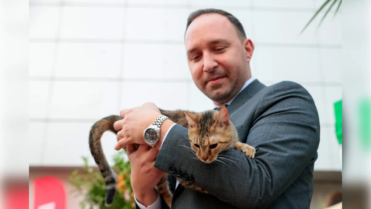 Konak’ta patili dostlar yeni yuvalarına kavuştu  haberinin görseli