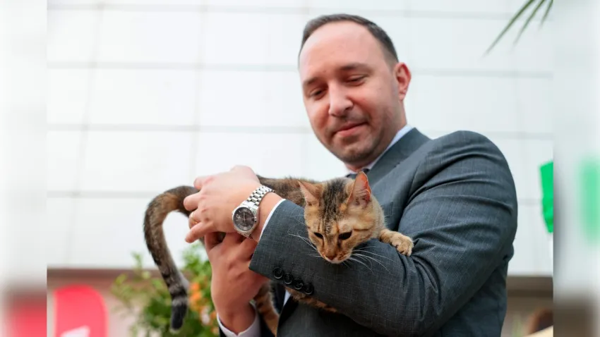 Konak’ta patili dostlar yeni yuvalarına kavuştu 