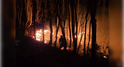 Ordu'da fındık bahçesi yangını ormana sıçradı