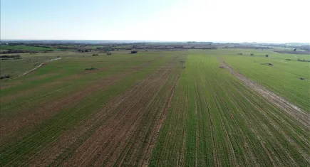 Arsa sahipleri dikkat: Değer artışının yüzde 90'ı devletin olacak