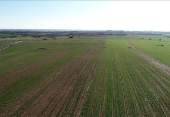 Arsa sahipleri dikkat: Değer artışının yüzde 90'ı devletin olacak