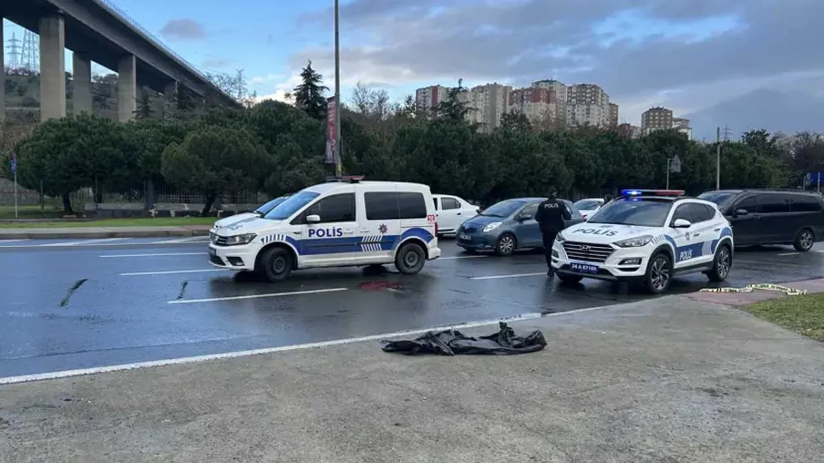 Bir kadın daha cinayete kurban gitti haberinin görseli