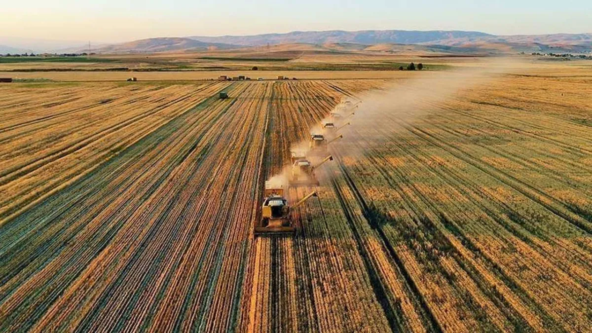 Türkiye tarımsal hasılatta Avrupa lideri, dünya 7.'si oldu haberinin görseli