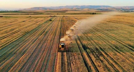 Türkiye tarımsal hasılatta Avrupa lideri, dünya 7.'si oldu