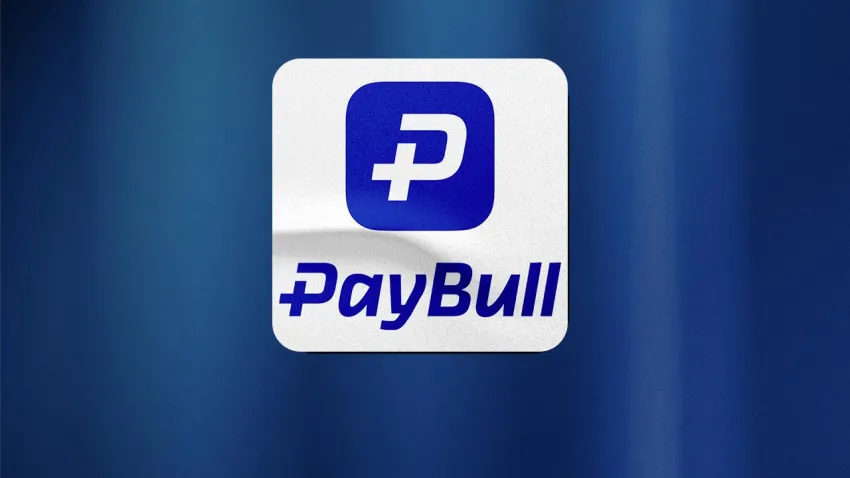 Paybull'a kayyum atandı: Paybull’un sahibi kim? Paybull kime ait? haberinin görseli