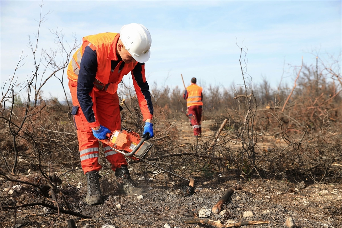 Alev Savaşçıları Bu Kez Fidanlarla Sahada: Manisa’yı Yeşile Döndürüyorlar başlıklı video haberin görseli