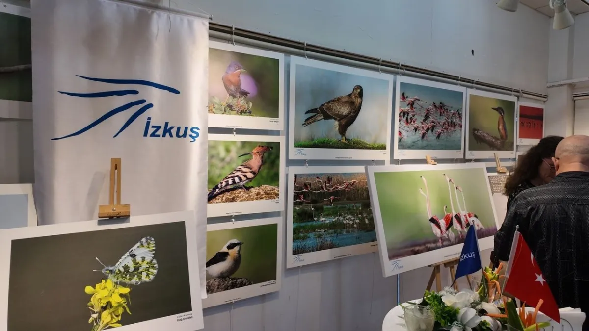 Foça’da Kuş Karikatürleri yarışmasında ödüller sahiplerini buldu haberinin görseli