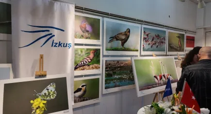 Foça’da Kuş Karikatürleri yarışmasında ödüller sahiplerini buldu