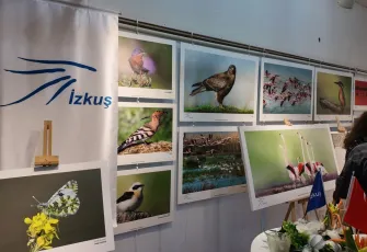 Foça’da Kuş Karikatürleri yarışmasında ödüller sahiplerini buldu