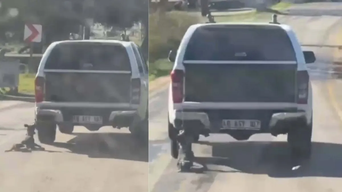 Milas’ta dehşet: Kamyonete bağlanıp sürüklenen köpek ölü bulundu, iki şüpheli yakalandı haberinin görseli