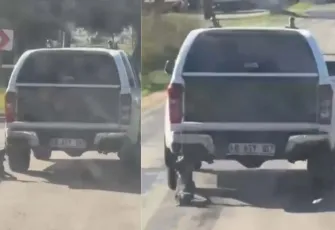 Milas’ta dehşet: Kamyonete bağlanıp sürüklenen köpek ölü bulundu, iki şüpheli yakalandı